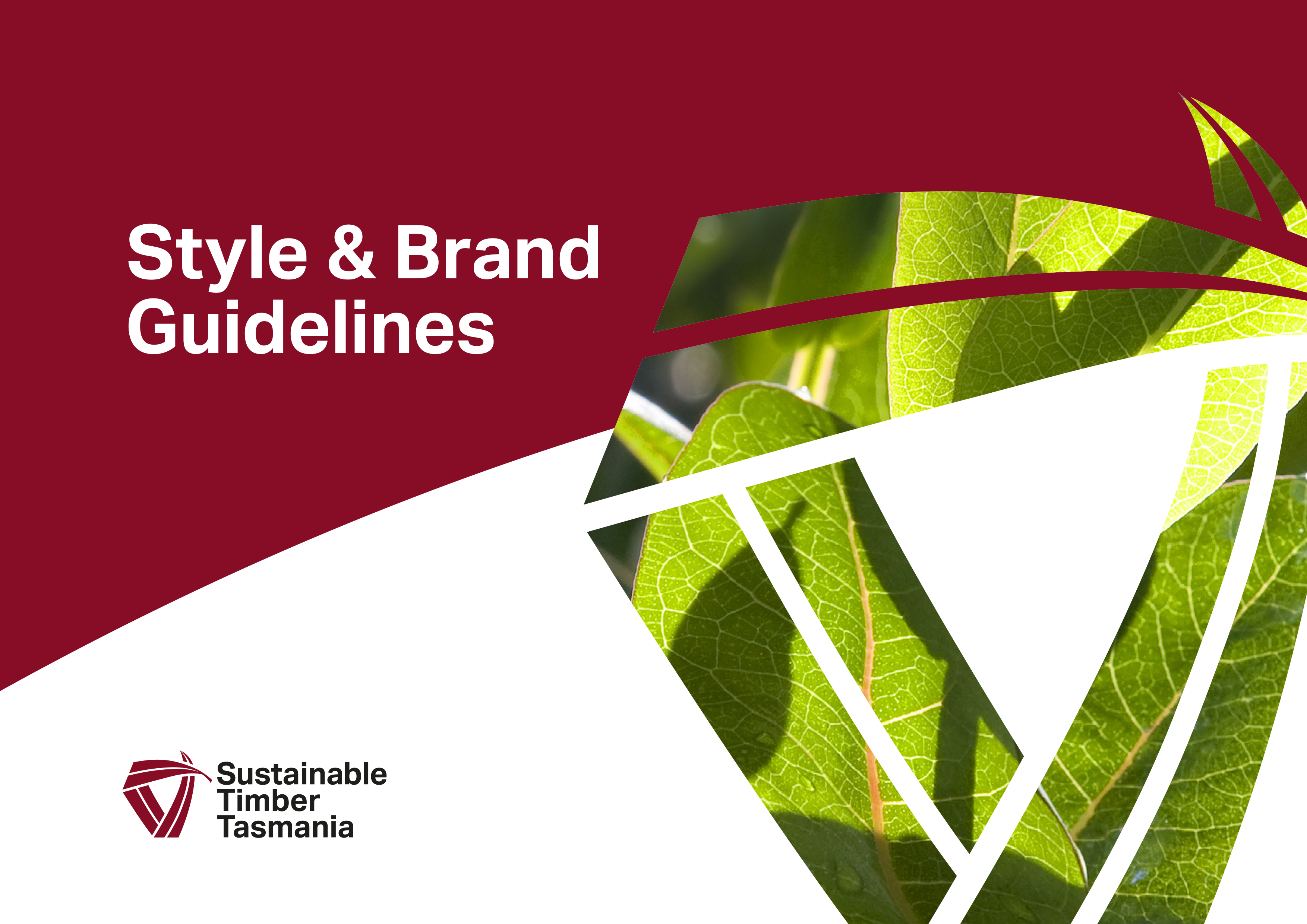 STT Style & Brand Guidelines cover