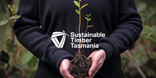 A person holding a tree sapling with soil and roots sitting in their cupped hands, Sustainable Timber Tasmania logo superimposed over the image